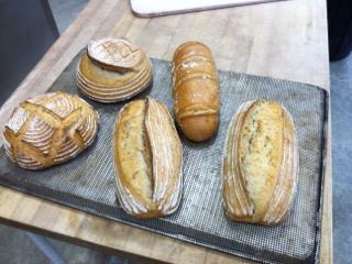 12647312_996586360408974_5491755385976028386_n